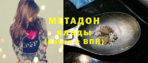 прущие грибы Алзамай