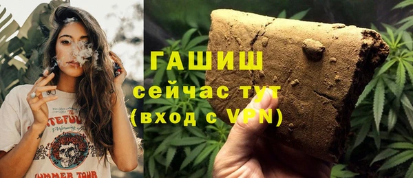 прущие грибы Алзамай